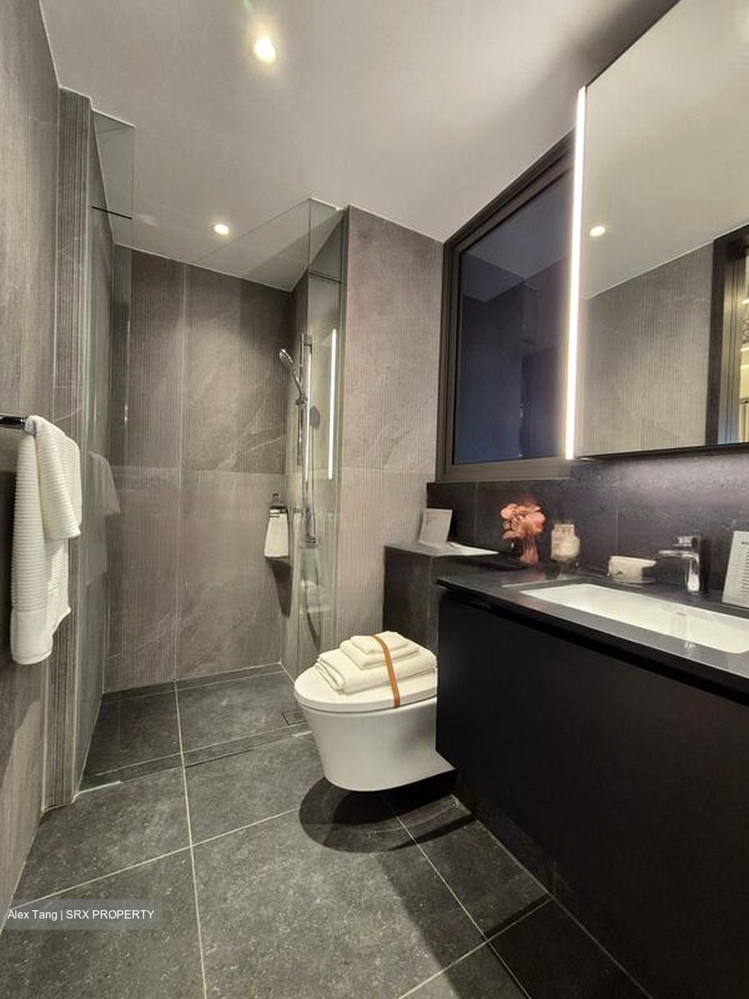 Sophia Road (D9), Condominium #461680251